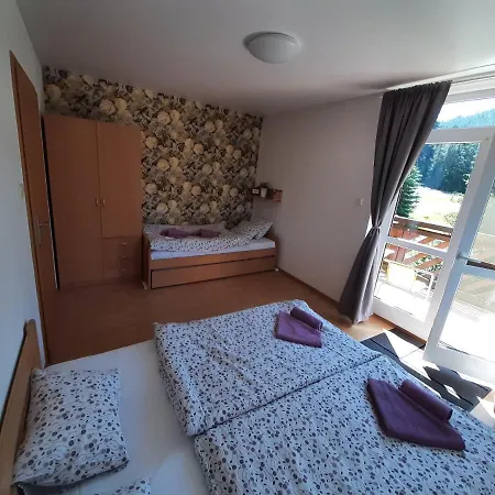 Apartmán Ingrid - Spiežovec * Donovaly