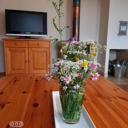 Apartmán Ingrid - Spiežovec Apartment Donovaly